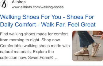 Allbirds text ad · first shown Aug 11, 2026 · still shown Oct 10, 2026